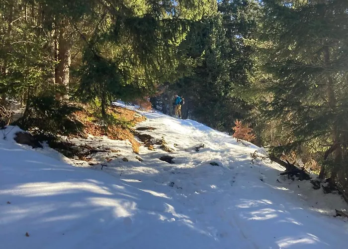 6eme Piste דירה Oz