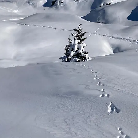 6eme Piste Апартаменты *