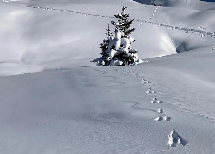 6eme Piste Appartement *